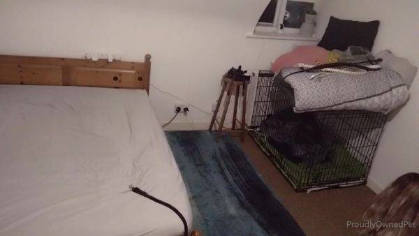 Watch this uncut scene titled Proudlyownedpet 31 08 2021