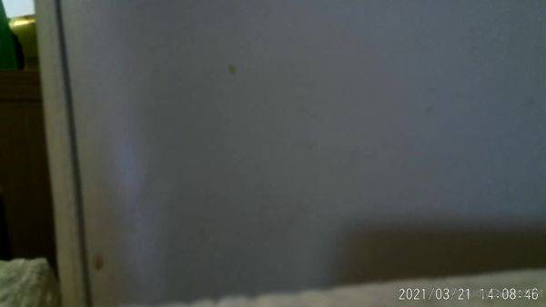 Watch the uncensored video titled Proudlyownedpet 14 07 2021 (2)