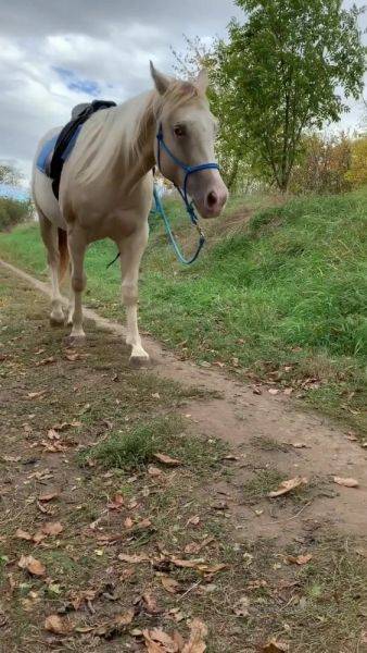 Stream this uncensored clip called AngelWicky Onlyfans Video pending all day with Shiney Outside in the countryside just having fun .. 720x1280