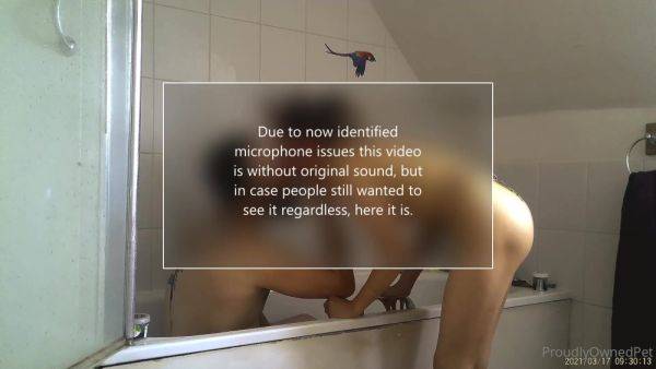 View complete video named Proudlyownedpet 10 07 2021