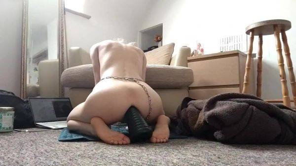 Stream this complete scene titled Proudlyownedpet 06 08 2021